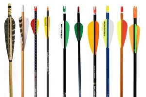 Buying Arrows from Oakwood Archery and longbow-arrows.co.uk